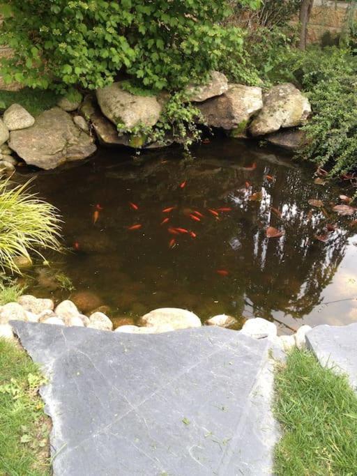 Los Rosales De Venturada 外观 照片